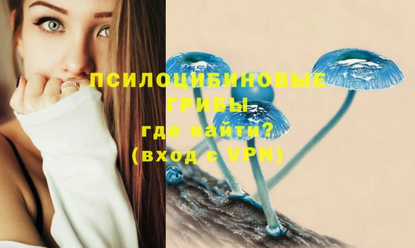 амфетамин Вяземский
